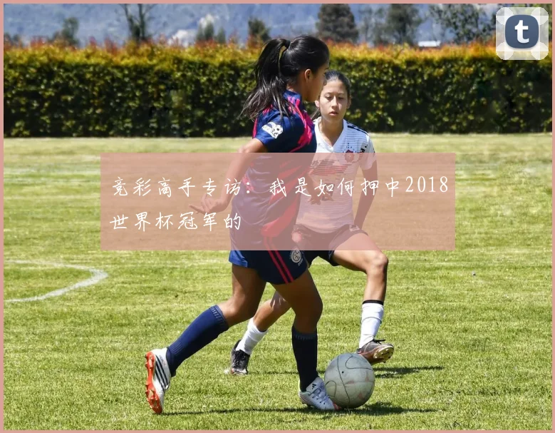 竞彩高手专访：我是如何押中2018世界杯冠军的