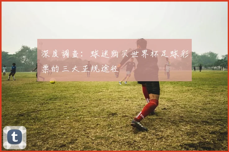 深度调查：球迷购买世界杯足球彩票的三大正规途径