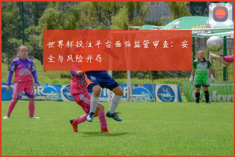 世界杯投注平台面临监管审查：安全与风险并存