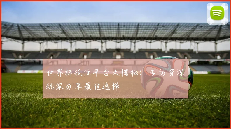 世界杯投注平台大揭秘：专访资深玩家分享最佳选择