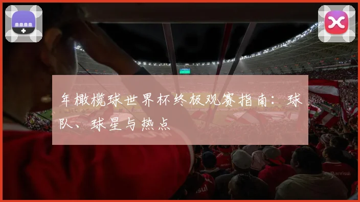 年橄榄球世界杯终极观赛指南：球队、球星与热点