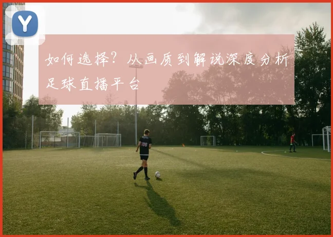 如何选择？从画质到解说深度分析足球直播平台