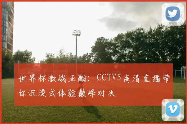 世界杯激战正酣：CCTV5高清直播带你沉浸式体验巅峰对决